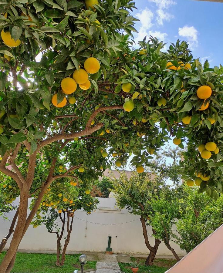 Hotel Soleo كوارتو سانتيلينا الغرفة الصورة